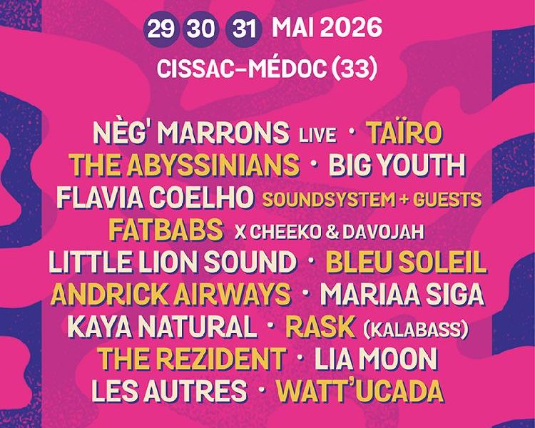 Plan B festival reggae sunska van life