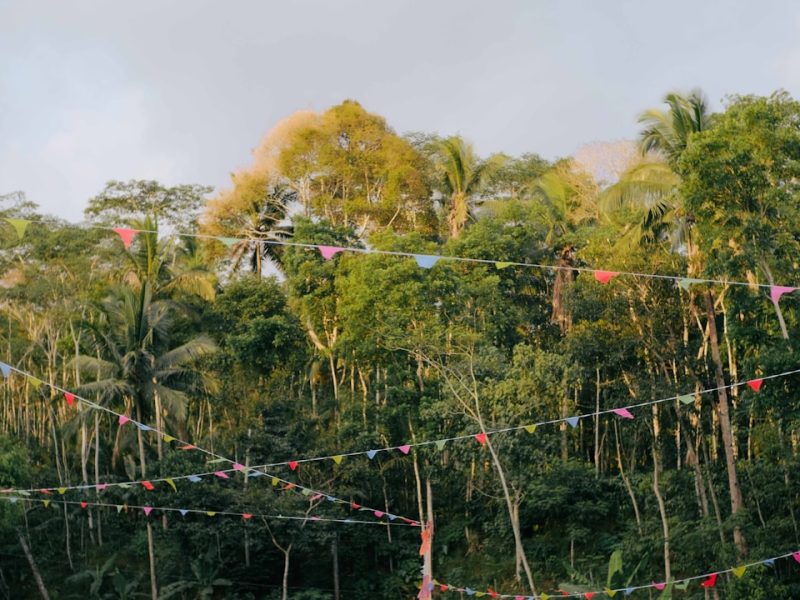 van aménagé garé dans la forêt vendéenne pour l'Electr'Au Dub 2026
