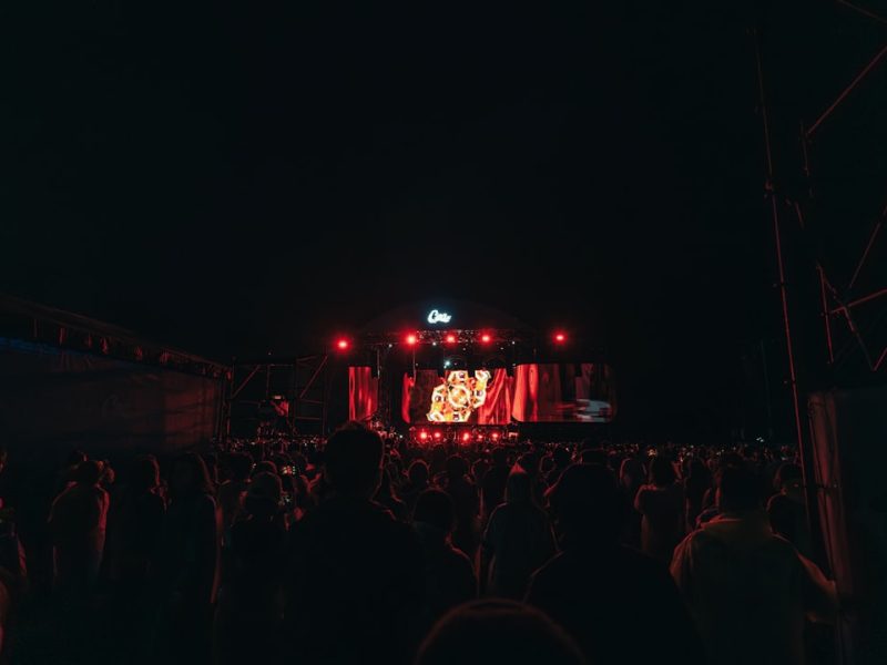 van garé dans un parc en Île-de-France pour assister au festival Rock en Seine 2026